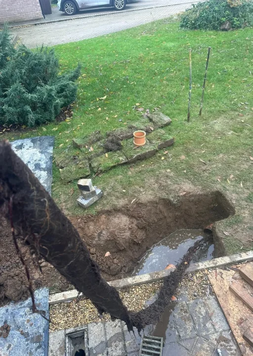 About 16 WhatsApp Image 2024-10-28 at 17.05.12